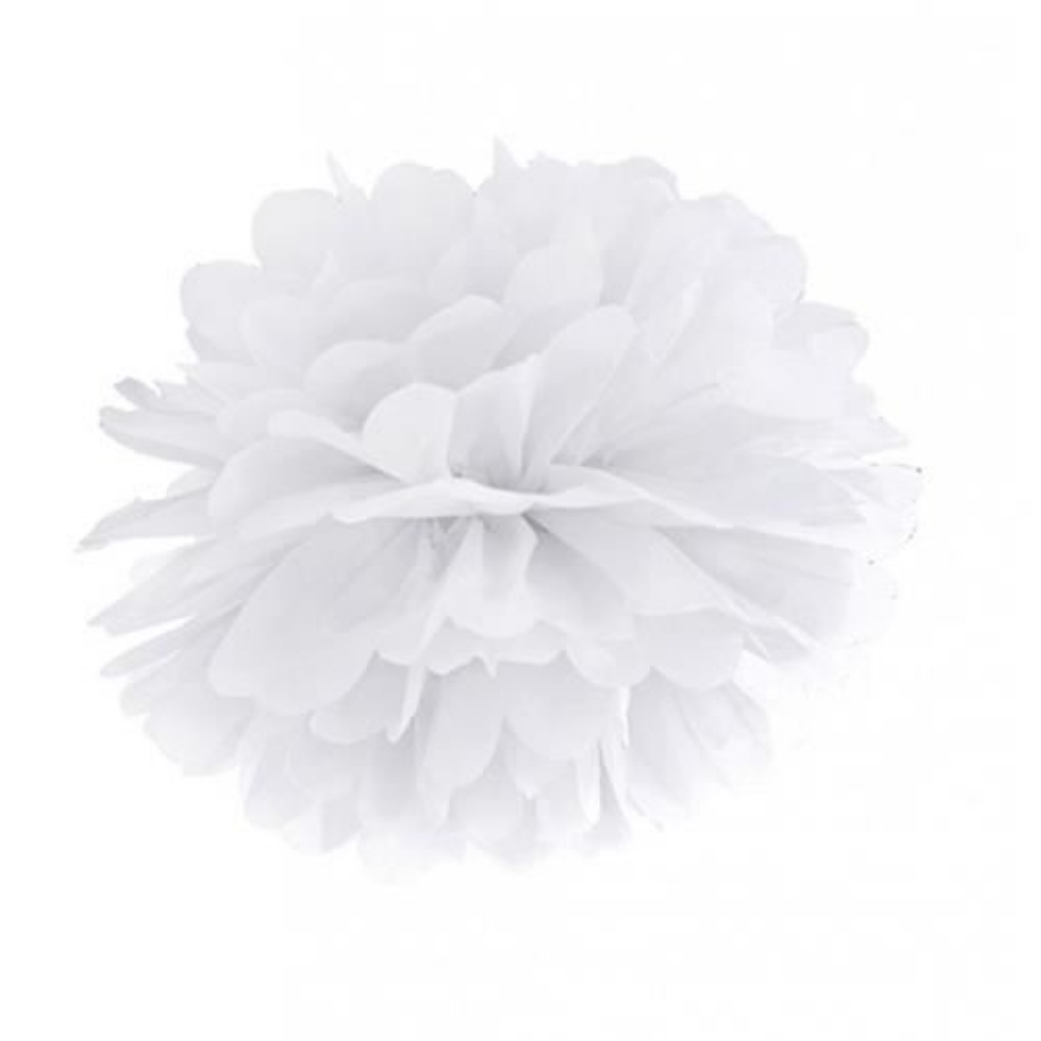 Levně Pom pom bílý - 25 cm