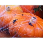 Picture of Decorative spider web with spiders – white, 60 g