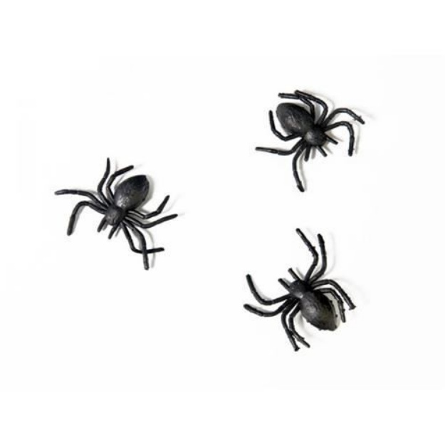 Obrázek z Plastový pavouci - 10 ks  
