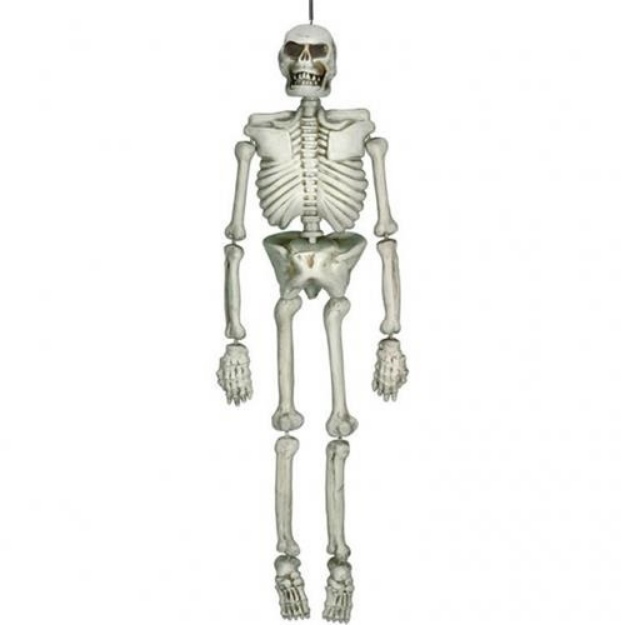 Obrázok z Halloweenska dekorácie ľudská kostra 137 cm 