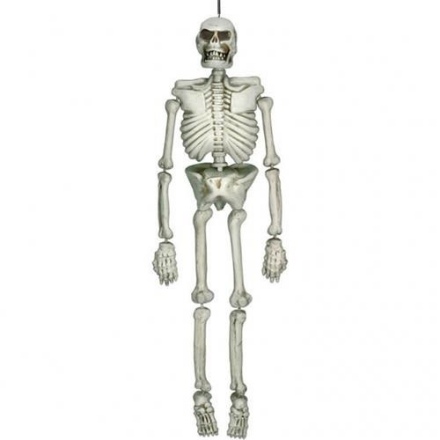 Picture of Halloween decoration human skeleton 152 cm