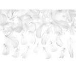 Obrázek z Dekorační peříčka bílá 3 g 