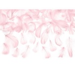 Obrázek z Dekorační peříčka růžová 3 g 
