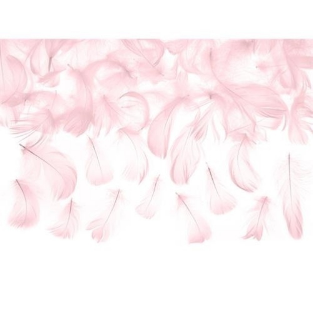 Obrázek z Dekorační peříčka růžová 3 g 
