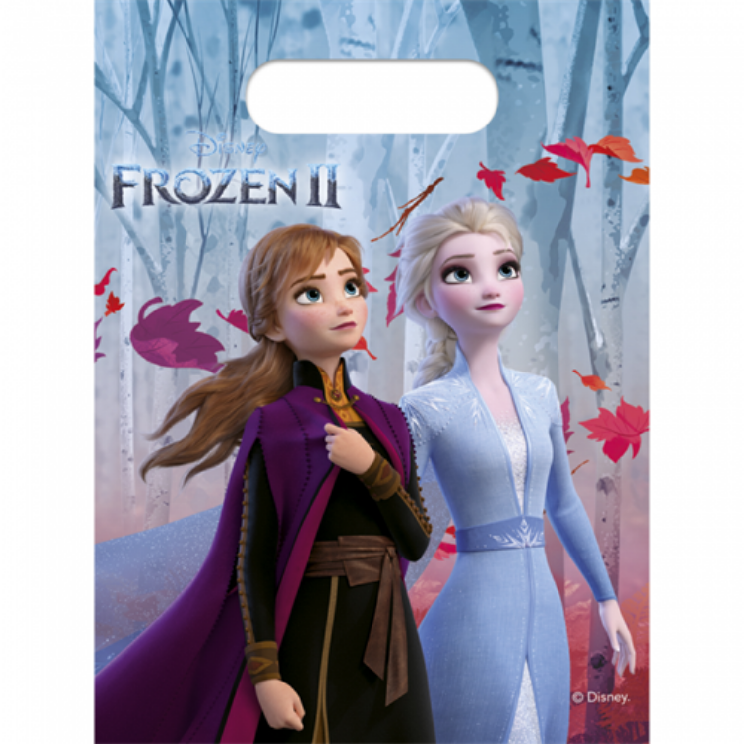 Party tašky Frozen 2 - 6 ks