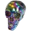 Obrázek Halloweenská dekorace lebka Goblet Skeleton