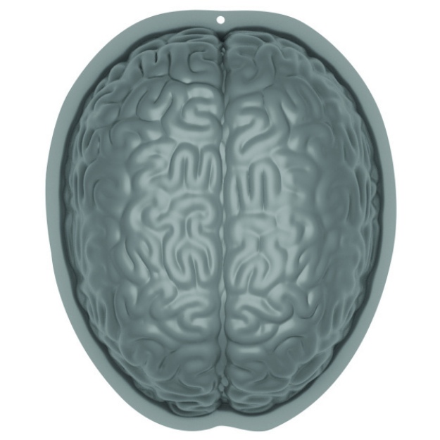 Obrázek z Forma na puding tvar Mozek - Plastic 