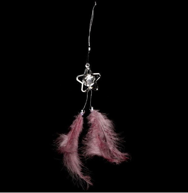 Obrázek z Závěsná dekorace z peří - Hvězda s diamantem - růžová 