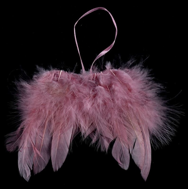 Obrázek z Závěsná dekorace z peří - Andělská křídla 13x9 cm - růžová 