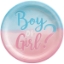 Obrázek EKO Papírové party talíře Kluk nebo holka? - 23 cm
