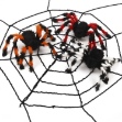 Obrázek Halloweenská dekorace - pavouk velký černo-bílý -  75 cm 