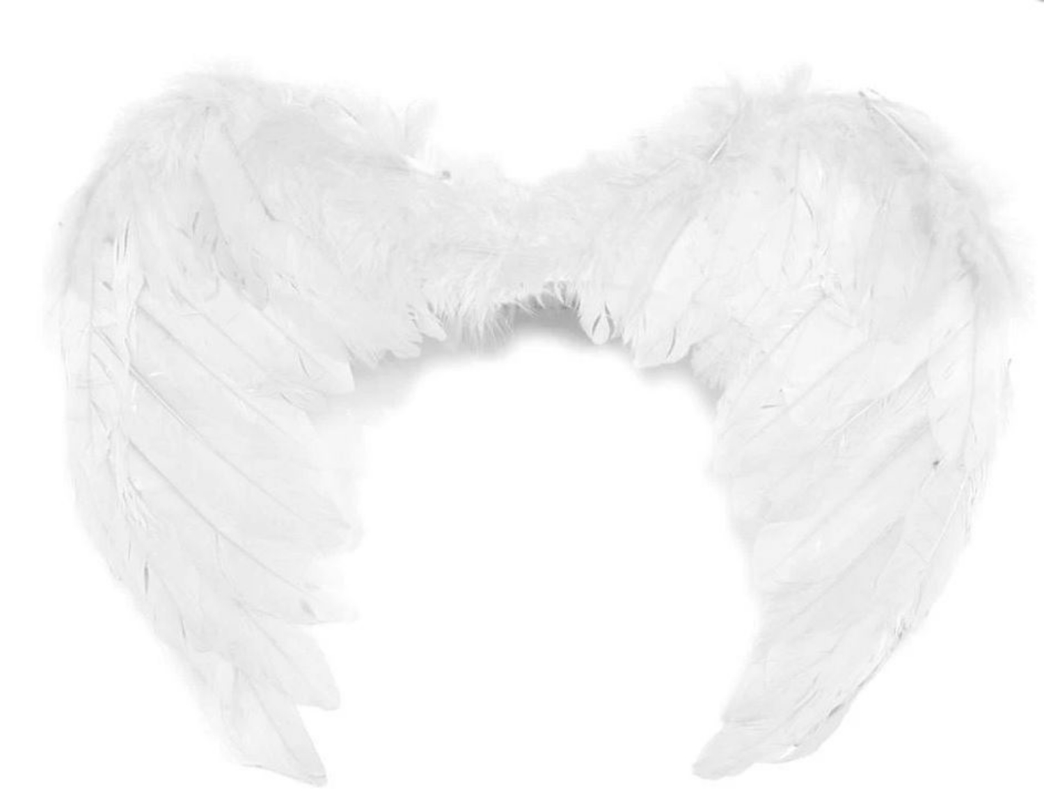 Andělská křídla malá - 45 x 35 cm