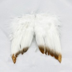 Obrázek z Závěsná dekorace z peří - Andělská křídla 13x12 cm - Bílo-zlatá 