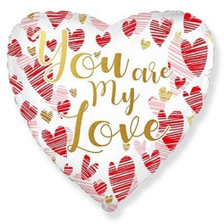 Obrázek Foliový balonek srdce You are my love 43 cm - nebalené