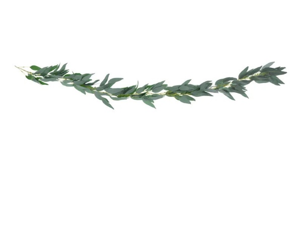 Girlanda z vrbových lístků - 2 m