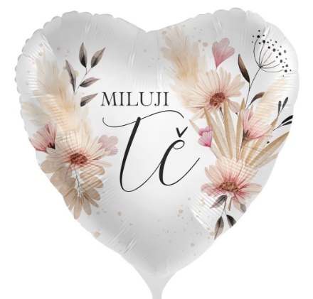 Obrázek Foliový balonek Miluji tě - Ty a já CZ - 43cm