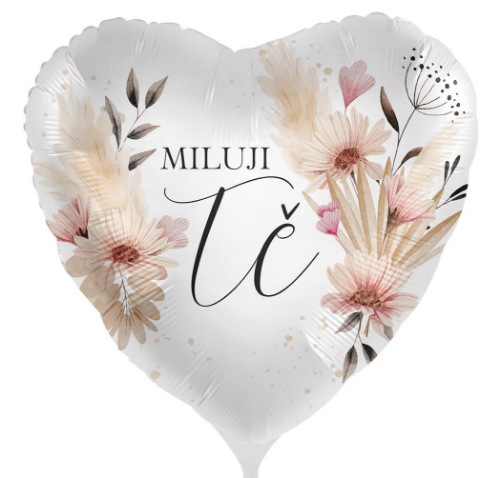 Levně Foliový balonek Miluji tě - Ty a já CZ - 43cm