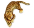 Obrázok z Foliový balonek leopard 108 cm
