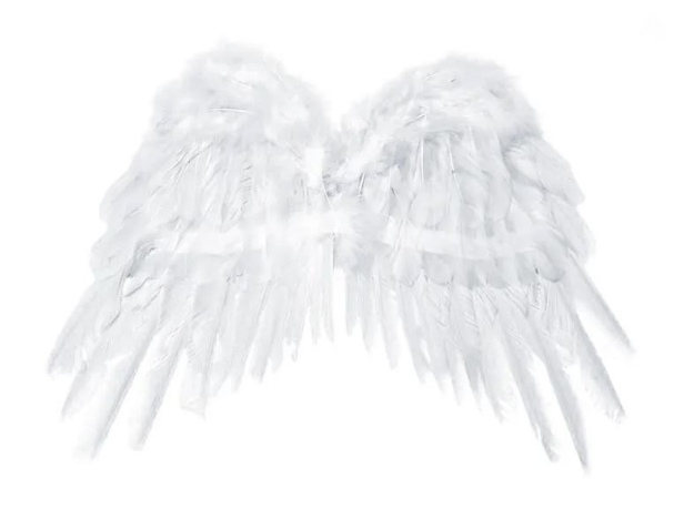 Obrázek z Andělská křídla bílá péřová Lux 