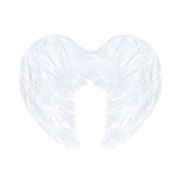 Obrázek z Andělská křídla malá - 45 x 35 cm - Partypal 
