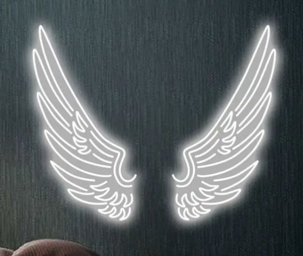 Obrázek z LED Neonová křídla 100 x 220 cm  - zapůjčení 