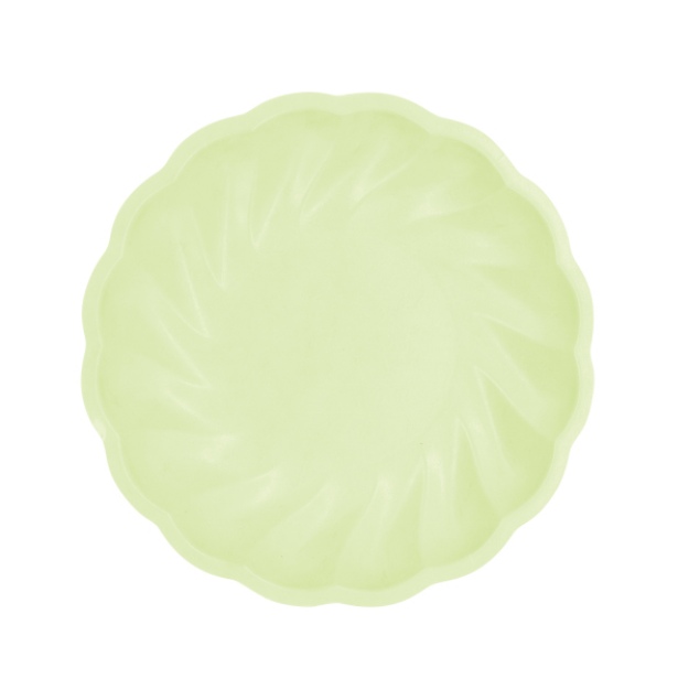 Obrázek z EKO - papírové talíře kulaté - Vert Decor, pastelově zelené - 22,9 cm 6 ks 
