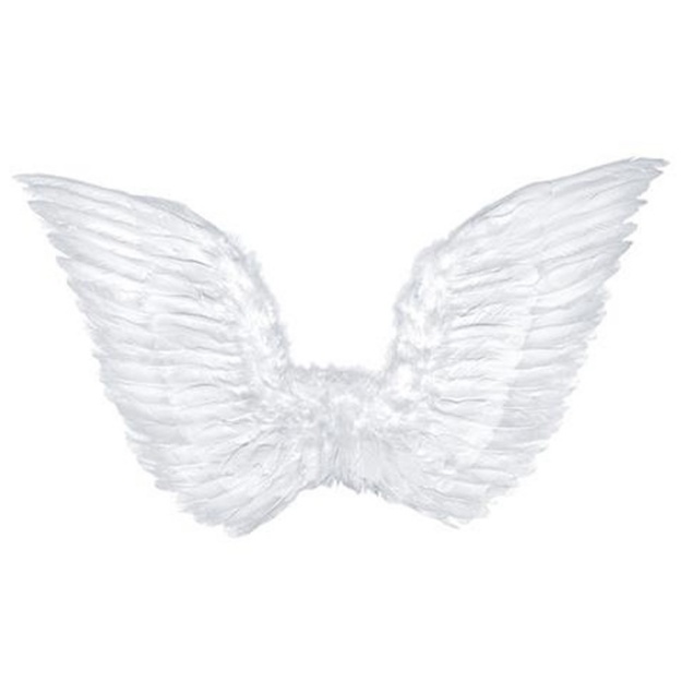 Obrázok z Anjelské krídla biela veľká 75 x 45 cm