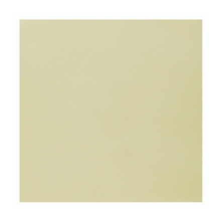 Obrázek Ubrousky - Airlaid, champagne 20  ks