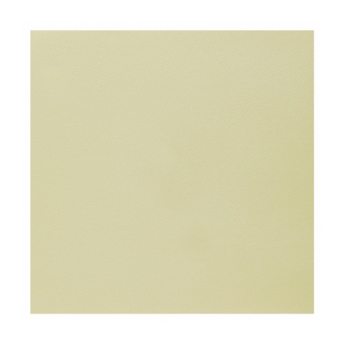 Levně Ubrousky - Airlaid, champagne 20 ks