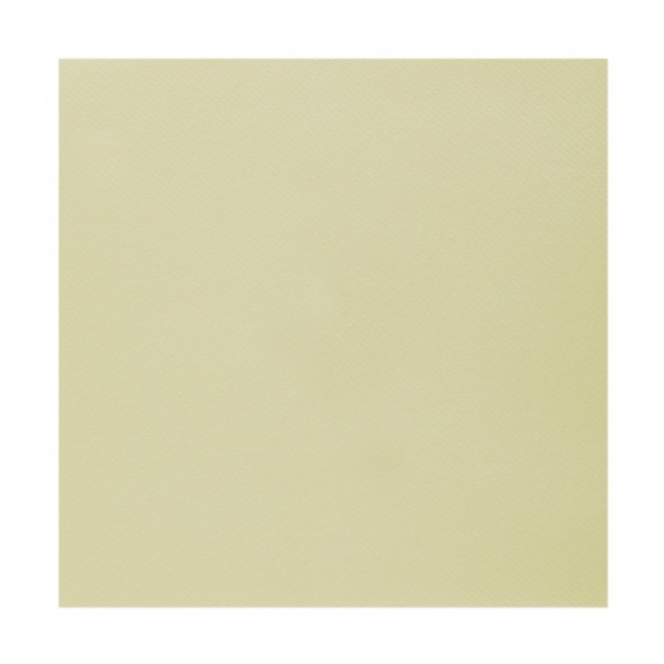 Ubrousky - Airlaid, champagne 20  ks