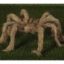 Obrázek Halloweenská dekorace - pavouk Tarantule 70 cm