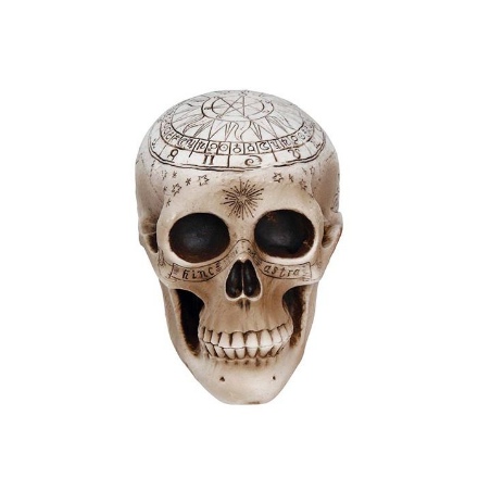 Picture of Halloweenská dekorace - lebka s ornamenty 20 cm 