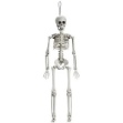 Obrázek Halloween dekorace - kostra 40cm