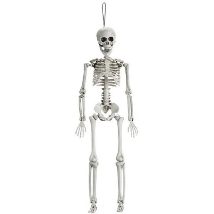 Picture of Halloweenská dekorace - kostra 40cm