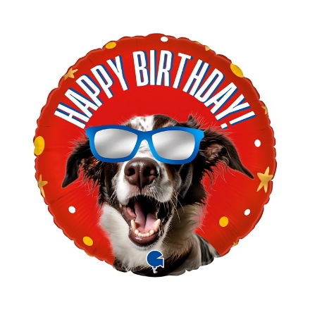 Obrázek Foliový balonek Happy Birthday Cool pejsek, 45 cm