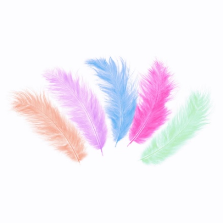 Picture of Colorful Mix Feather 50 pcs, 10 - 15 cm