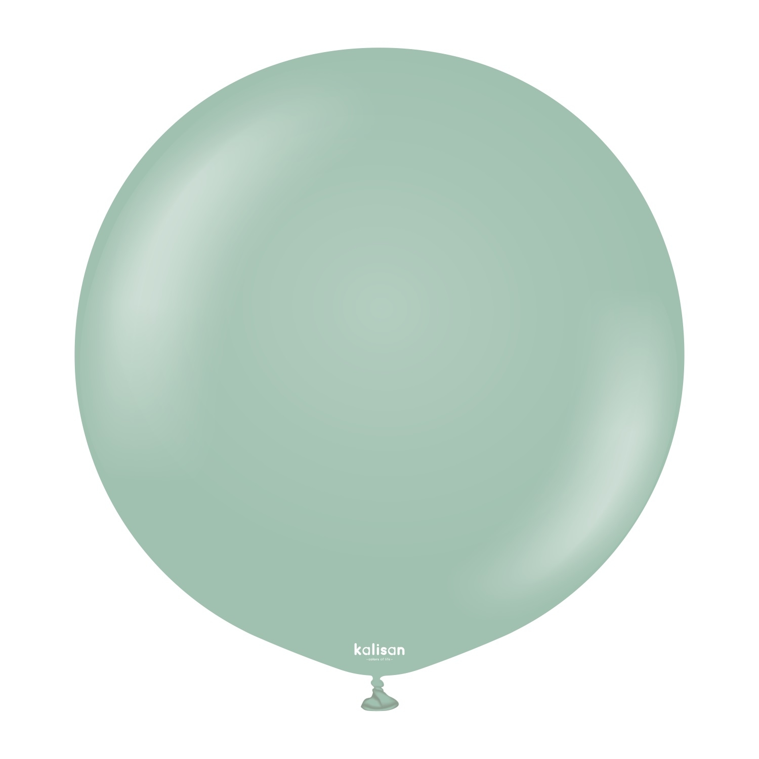 Levně Balonek ledově zelený, Retro Winter Green 60 cm/24"