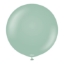 Obrázek Balonek ledově zelený, Retro Winter Green 60 cm/24"