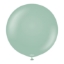 Obrázek Balonek ledově zelený, Retro Winter Green 45 cm/18"