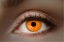 UV oranžové kontaktní čočky Flash Orange na oku se zářivým neonovým efektem