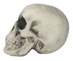 Pěnová lebka 22 cm s realistickým stínováním – Halloween dekorace