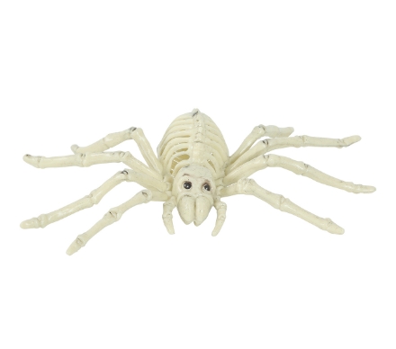 Kostra pavouka 24 cm – strašidelná Halloween dekorace