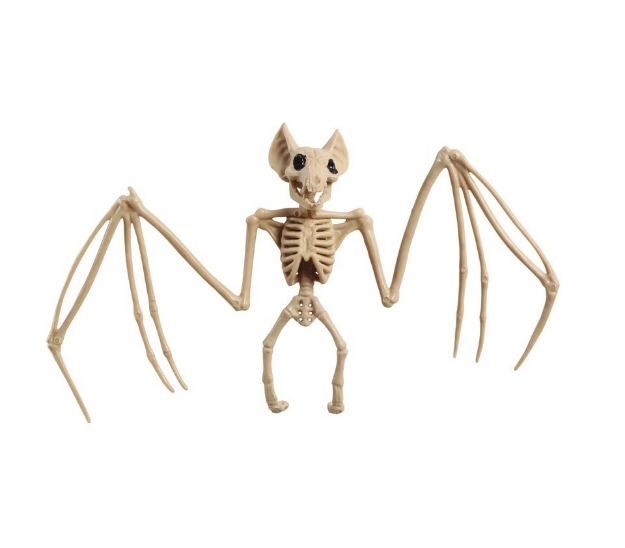 Kostlivec netopýra 30 x 16 cm – halloweenská dekorace v béžové barvě