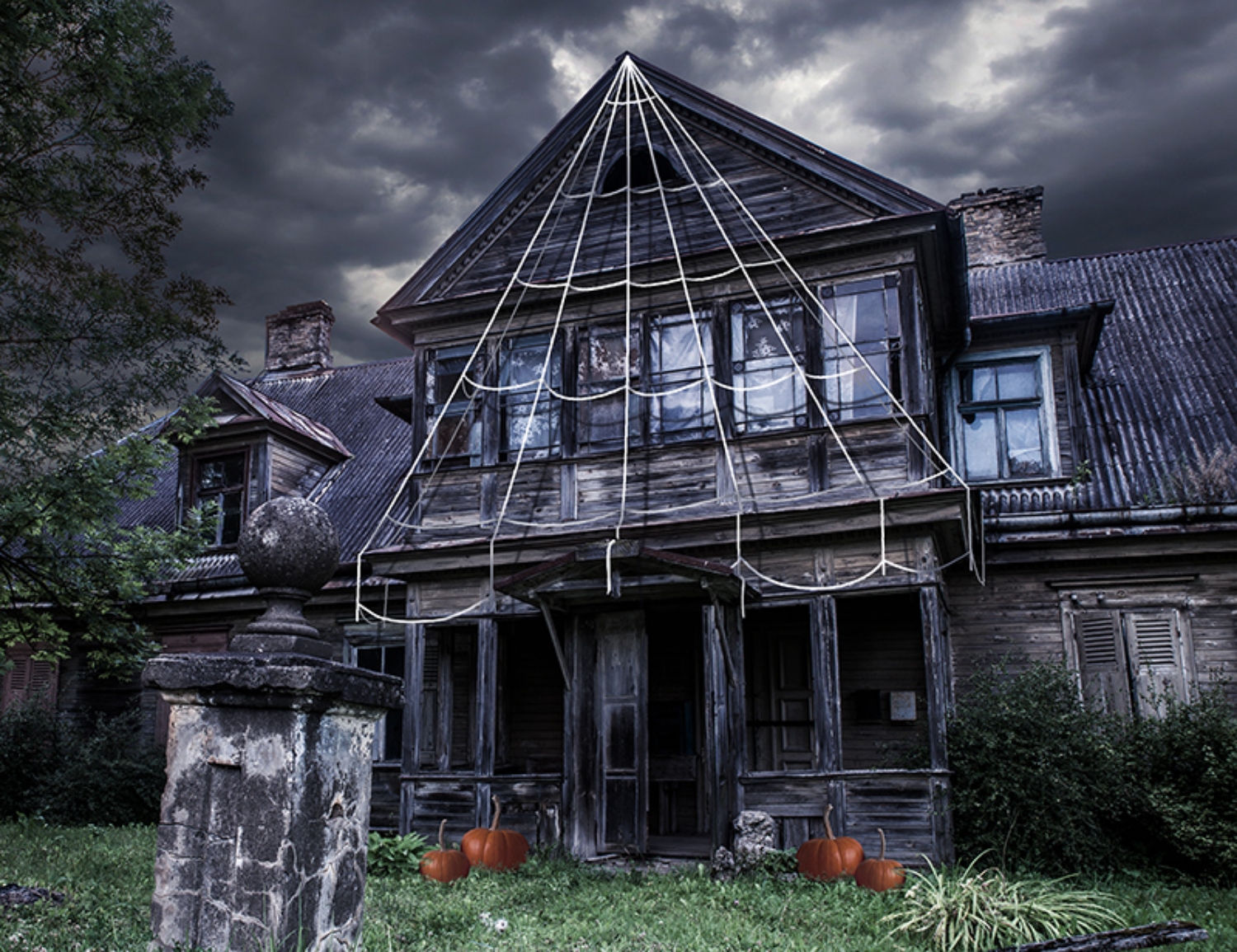 Pavučina na dům bílá 500 cm