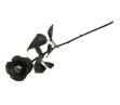 Černá růže s modrým okem, dekorace na Halloween, délka 42 cm
