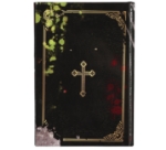 Obrázok z Kniha Exorcism for Dummies - dekorácia 22 x 15 cm