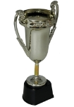Obrázok z Pohár víťazstva č.1 – 20 cm