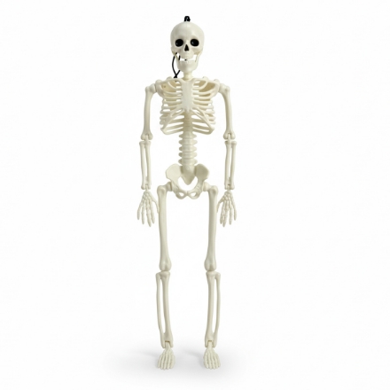 Obrázok z Halloweensky kostlivec na zavesenie – 40 cm