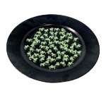 Picture of Bag of 70 glow-in-the-dark spiders