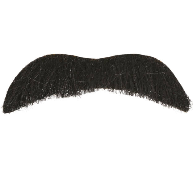 Černý samolepicí karnevalový knír